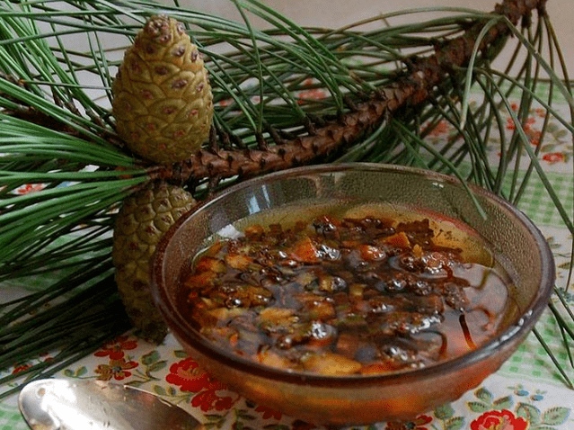 Отвара на базата на борови борови бази